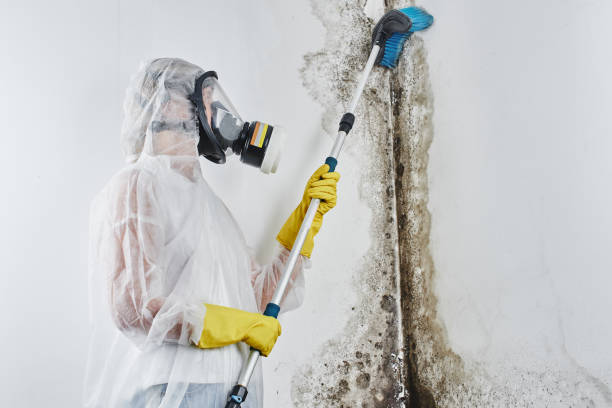 Moundridge, KS Mold Remediation Company