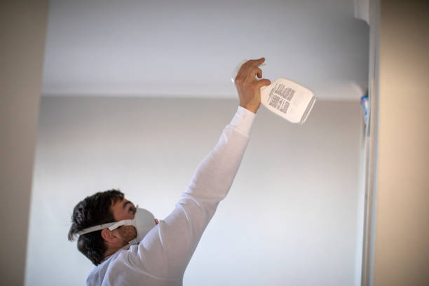 Best HVAC Mold Remediation in Moundridge, KS