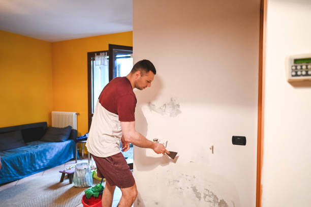Best DIY Mold Remediation Support Services in Moundridge, KS